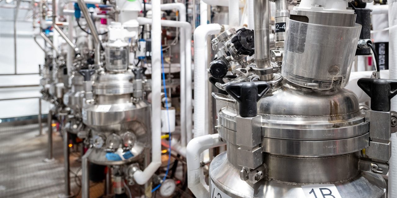 Mushroom fermentation production plant focuses on sustainability