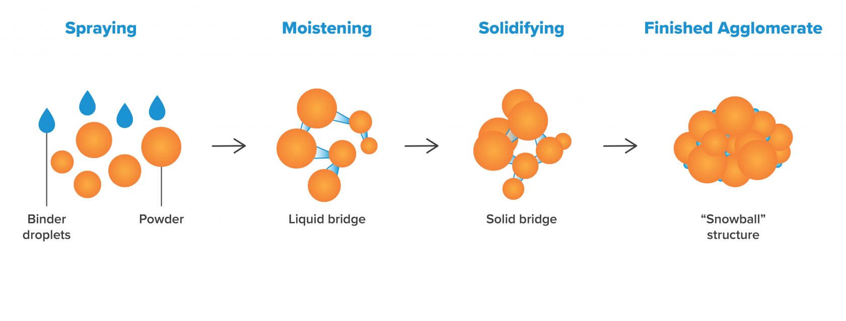 Wet Granulation Processing