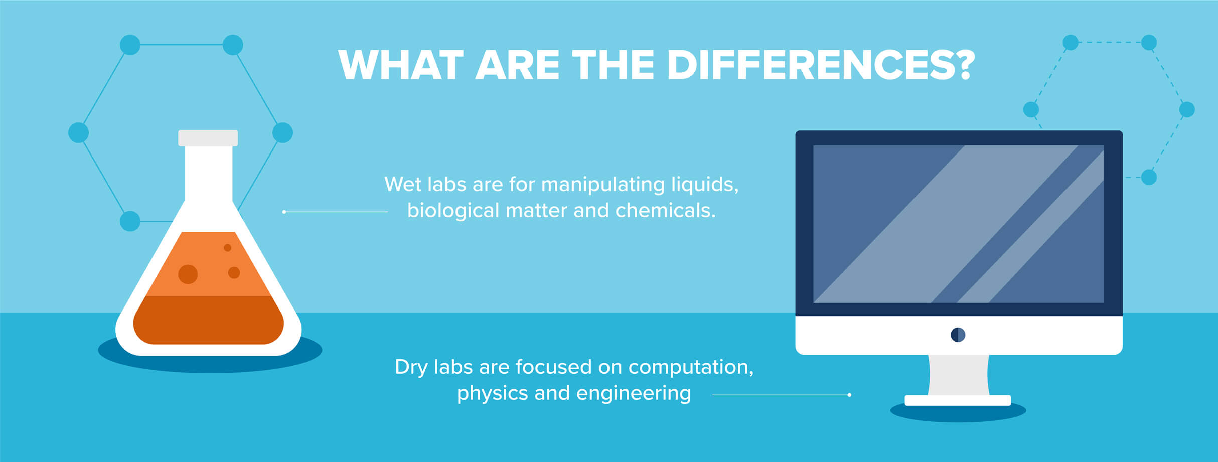 Wet Lab vs Dry Lab Differences