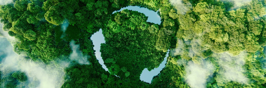 sustainable recycle sign in trees