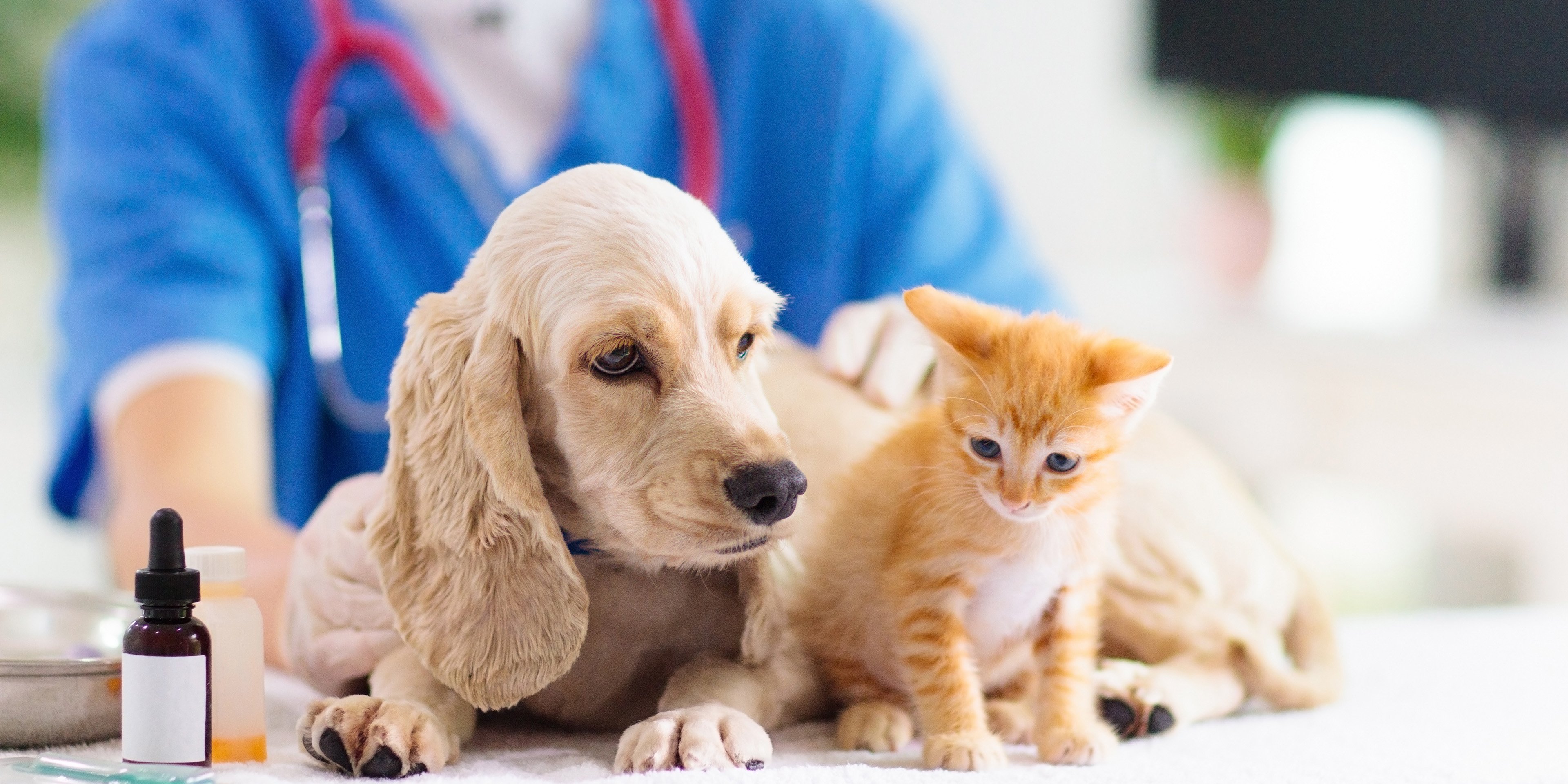 The top innovations in animal health pharmaceuticals manufacturing CRB