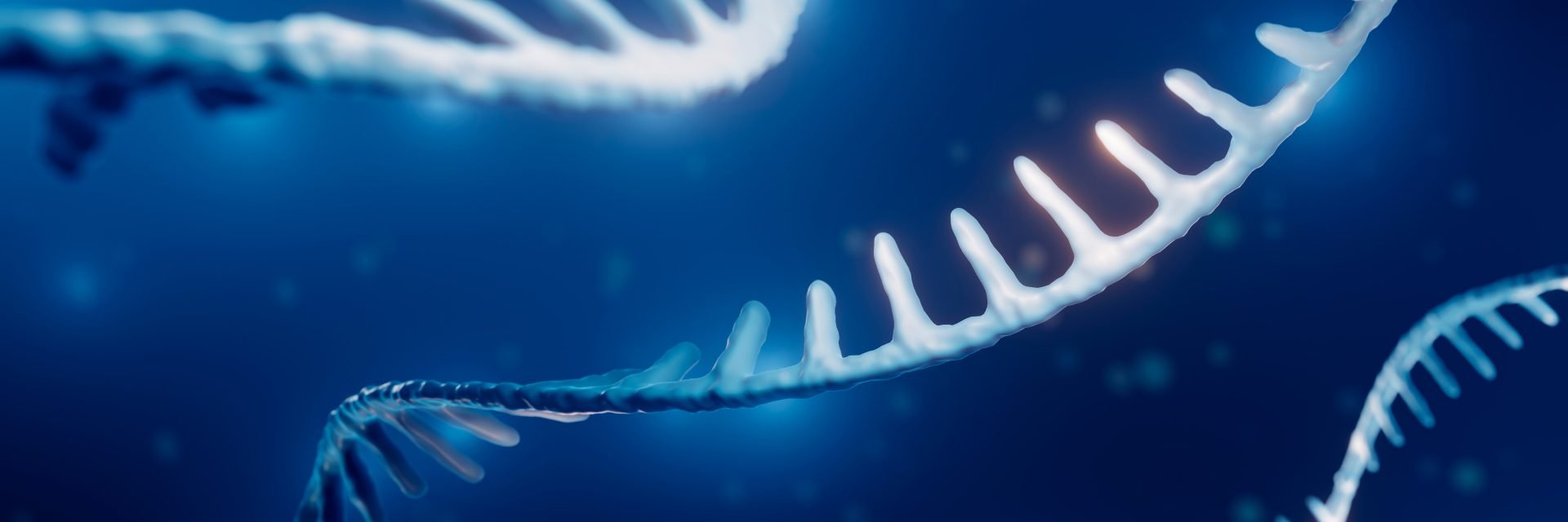 RNA strand
