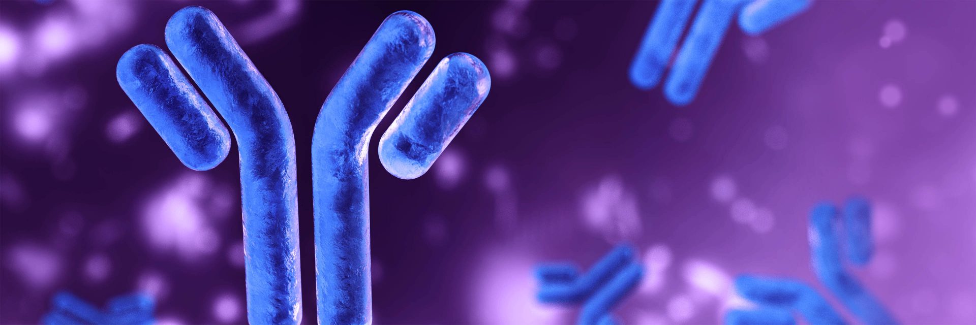 blue and purple antibody