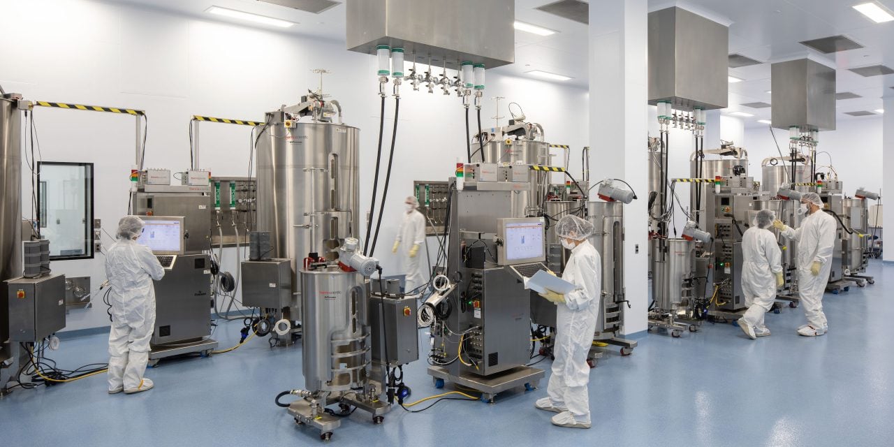 Mammalian cell culture drug substance manufacturing & lab expansion