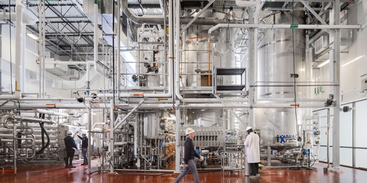 fermentation tanks in alternative proteins facility