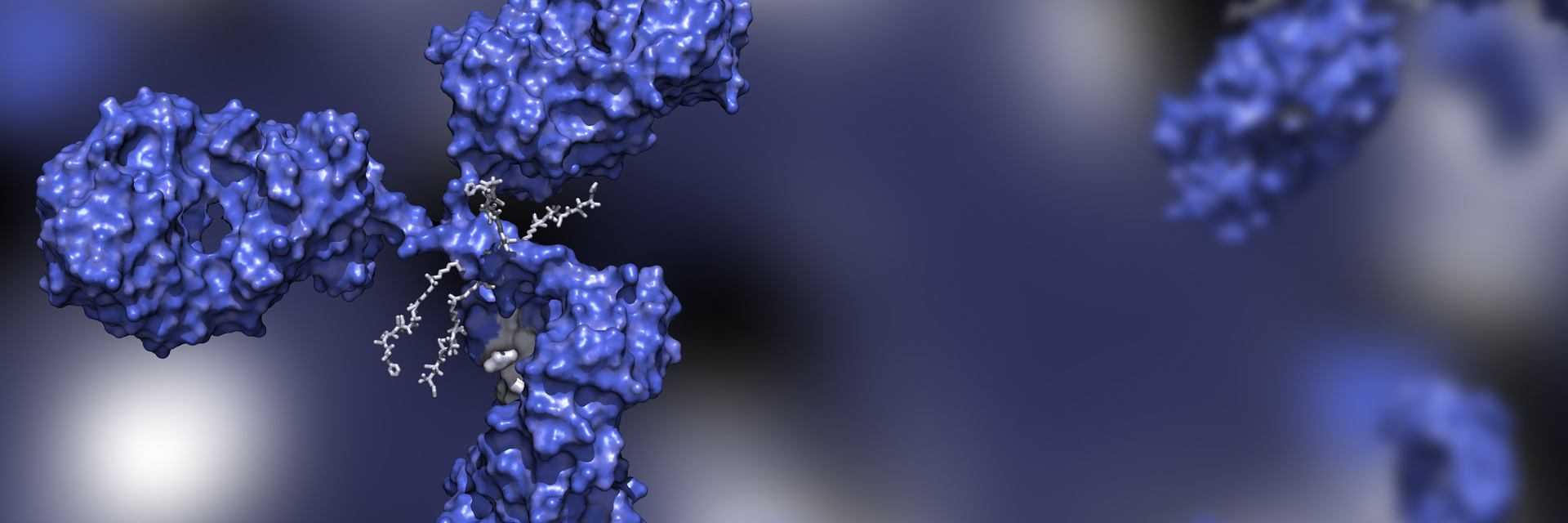 Antibody drug conjugate molecule