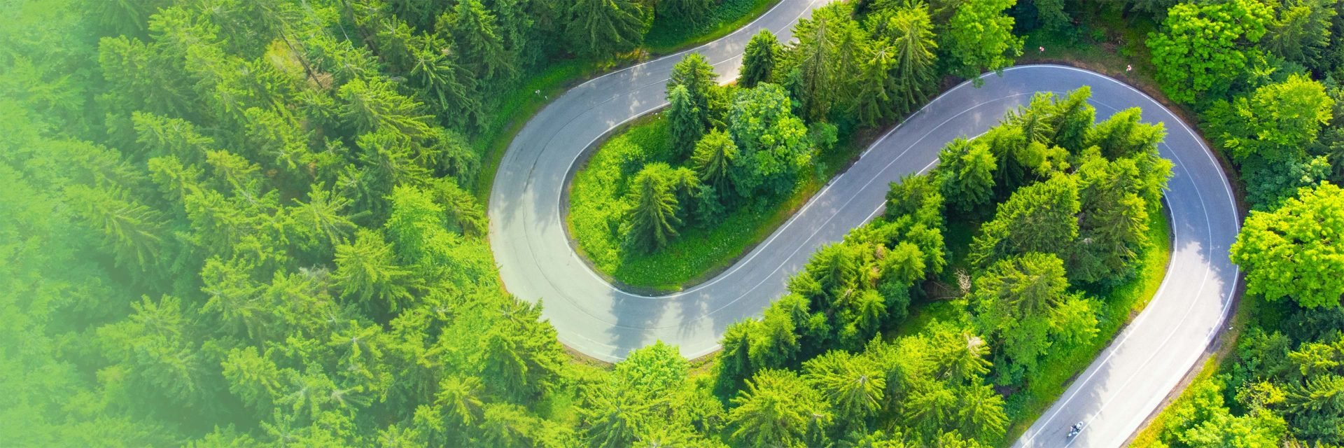 aerial view of winding road in green forest