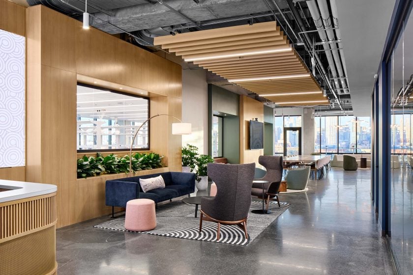 Communal office space with plant and natural light