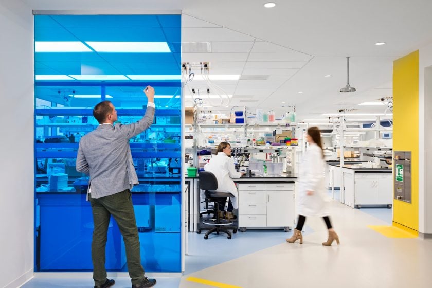 Lab with blue and yellow accents