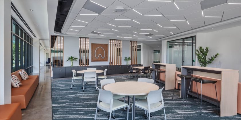 open collaboration space in new office with natural wood finishes and light colors