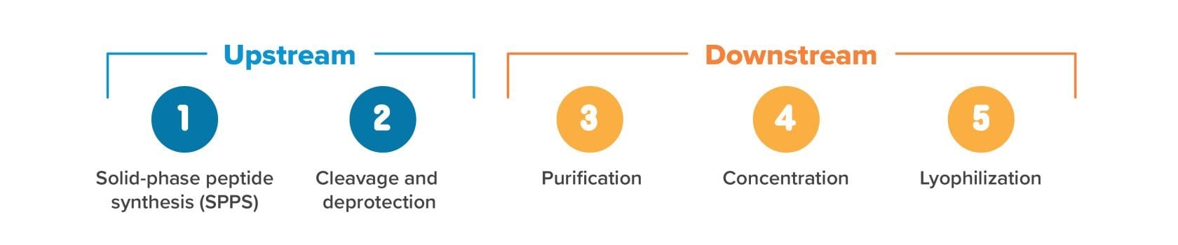 peptide manufacturing process