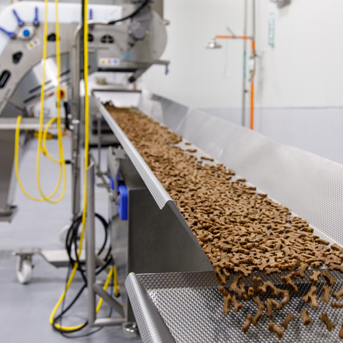Kibble on processing line