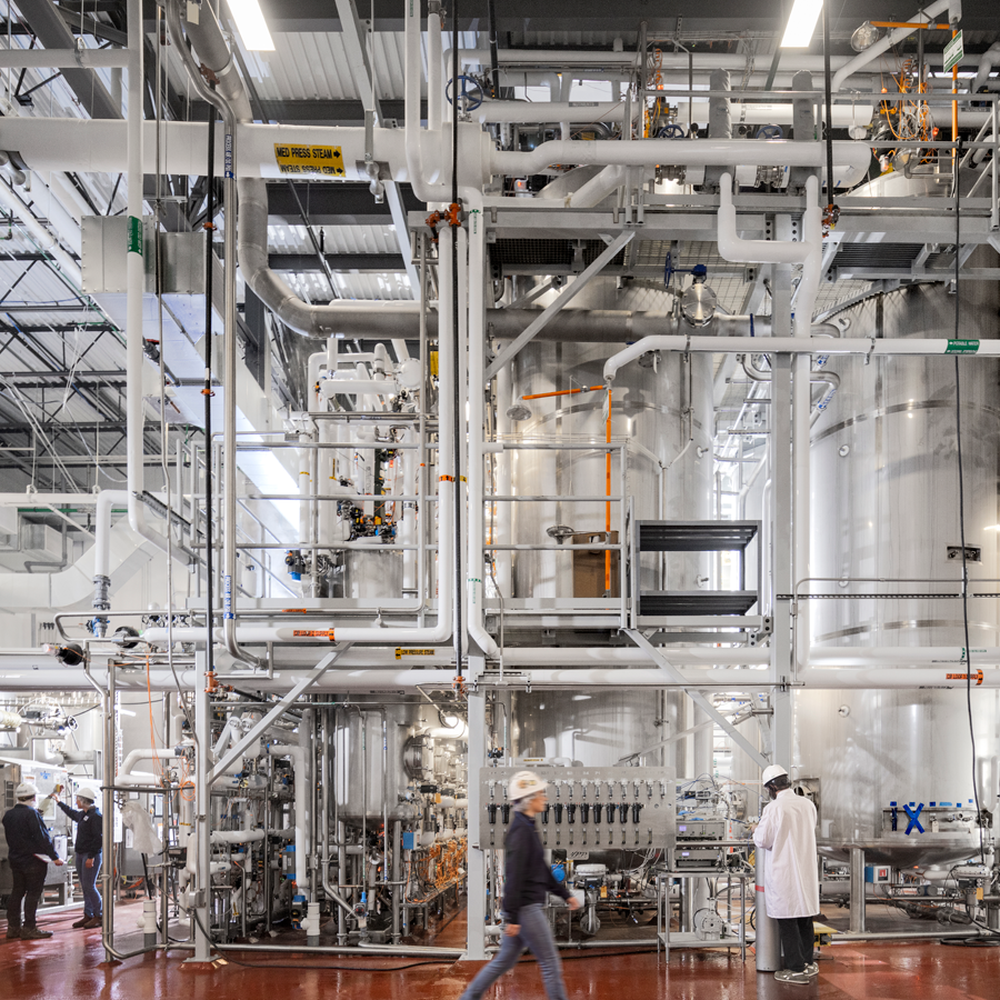 Piping in food and beverage manufacturing facility