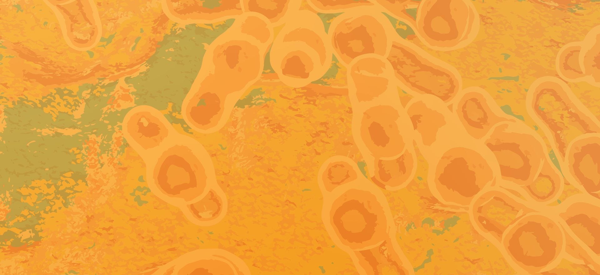 abstract food safety background